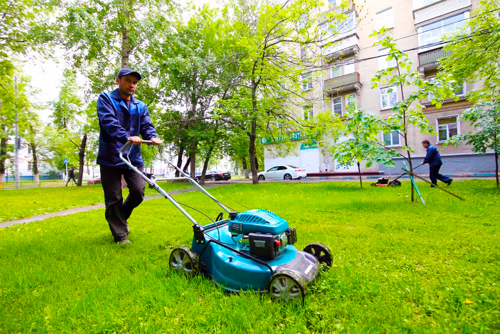 Amenajarea terenului adiacent